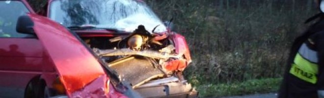 Wypadek na trasie Lubienia - Starachowice