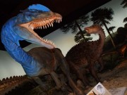 Dinozaury hitem w muzeum 