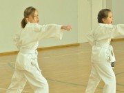 Dziewczta lubi karate