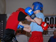  Mistrzostwa Polski w Kickboxingu Kick Light zorganizowane w Starachowicach