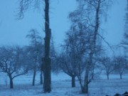 Tak wyglday dzi widoki za oknem z rana w powiecie starachowickim